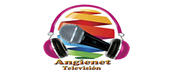 Angienet TV_